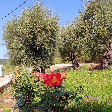 Prázdninový dům Nikos House Corfu Danilia